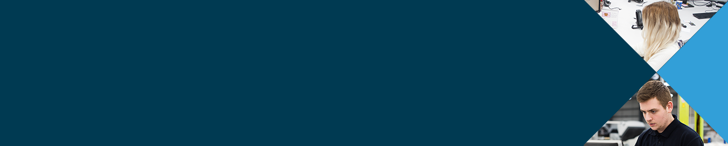 About Bluetree Group