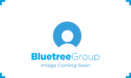 Bluetree Mask Box