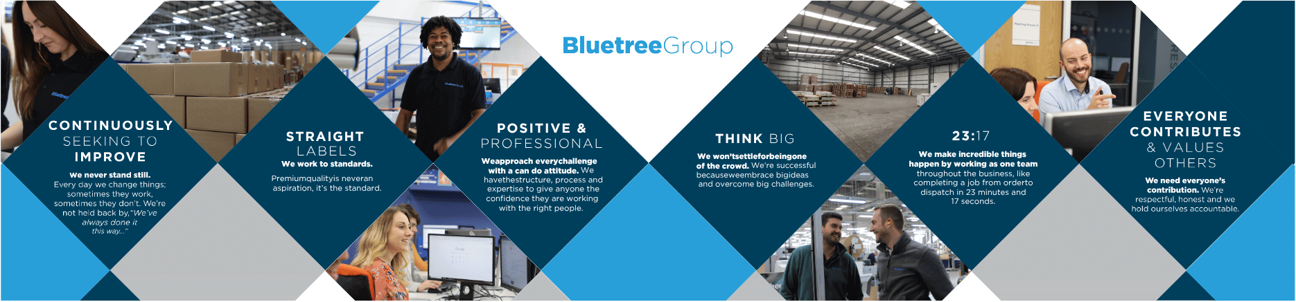 Bluetree Group Values