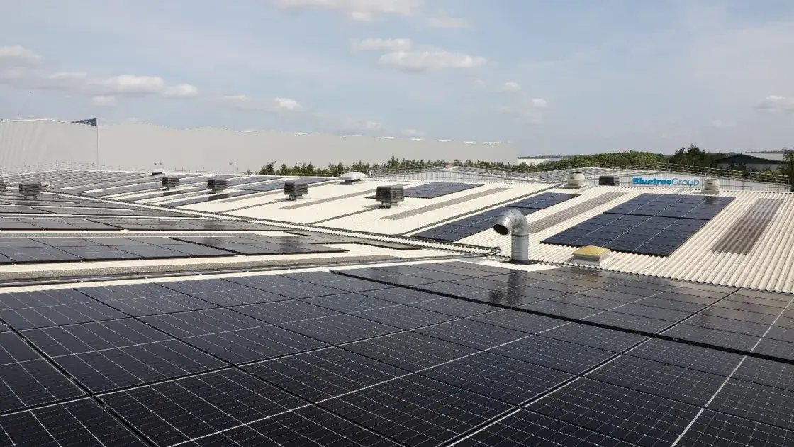 Sustainability at Bluetree Group